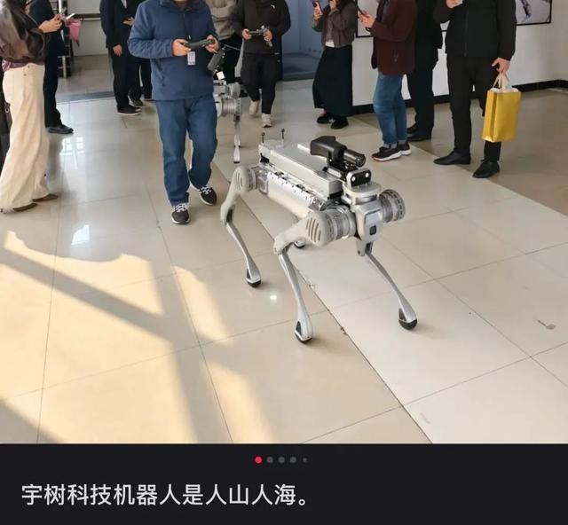 「穷鬼迪士尼」，统治中产周末？