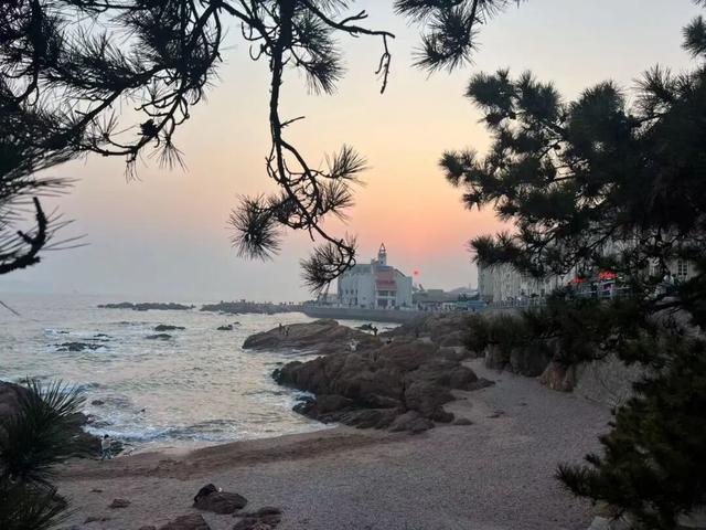 于市南，一日看尽海上花