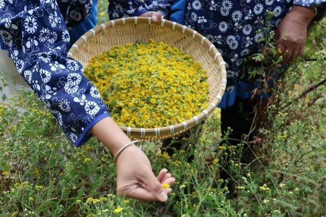 《济南中医药文化旅游》地图出炉！30个中医药文化宝藏地别错过！