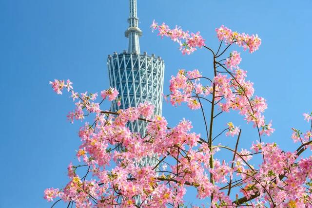 地理冷知识—12月份去哪旅游