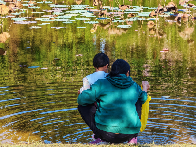 南山秋艳！云浮市民前来打卡→