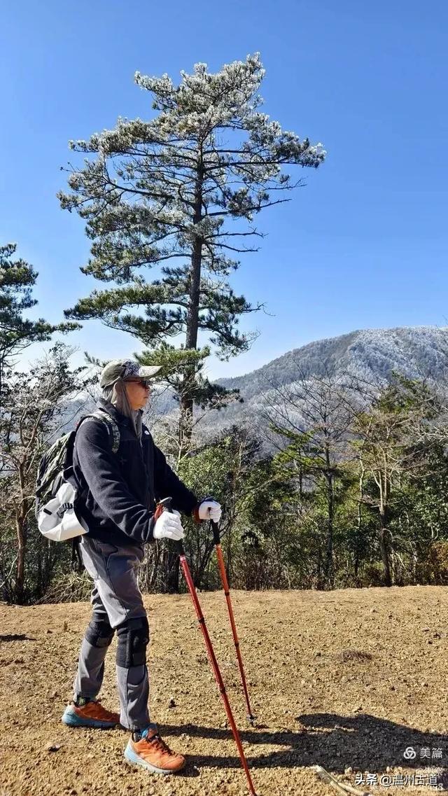 邂逅2026年的第一场醉美雾凇!温州四海山的雾凇美爆了!