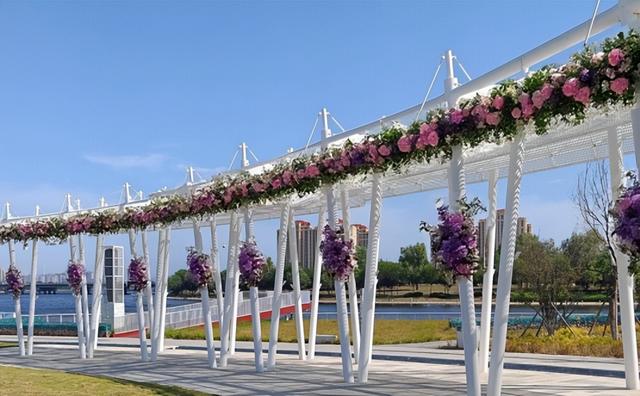七夕节，青岛市将启用首个“公园式”婚姻登记点