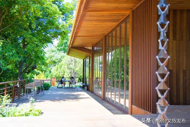 【乐游烟台】登高首选！烟台这个宝藏秘境，风景绝美！