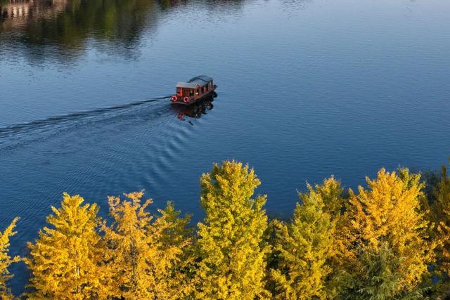 重庆园博园美出新高度！随手一拍都超超超出片→