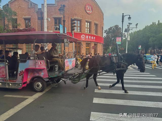 济南天津亲子六日游，我们至爱还是章丘明水古城