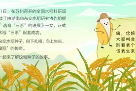 我是一粒种子，这是我的故事图片