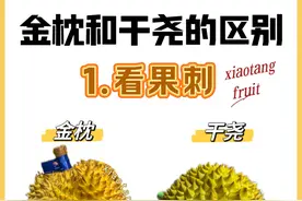 五步教你挑报恩榴莲～金枕榴莲和干尧榴莲区别图片