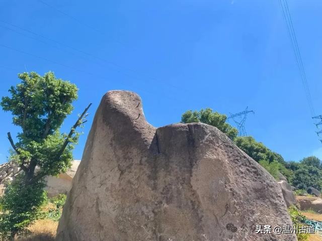 温州这处以奇岩异石著称的免费景区值得你来探秘