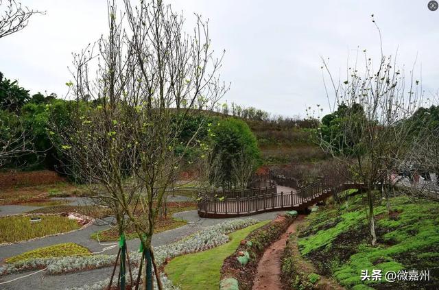 城建第一线丨海棠盛景今日开园 这个假期就到这里享受慢时光