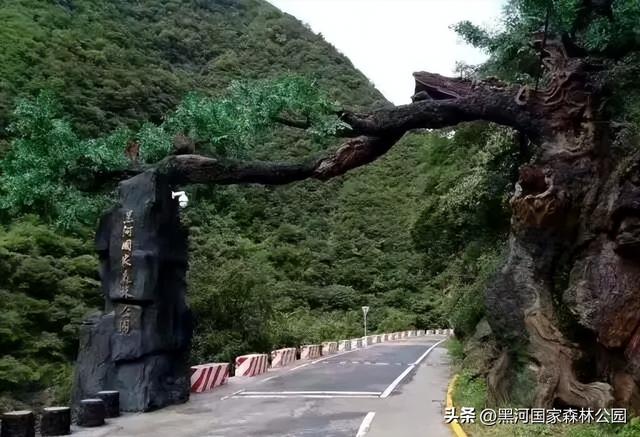 西安2h直达！钻进20℃的“天然空调房”，超全纳凉自驾攻略来了！