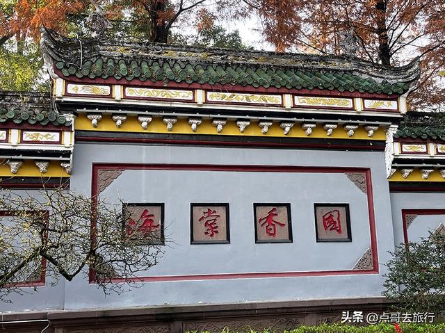 成都被私藏的彩林公园，流金溢彩，充满老城烟火气，地铁公交直达