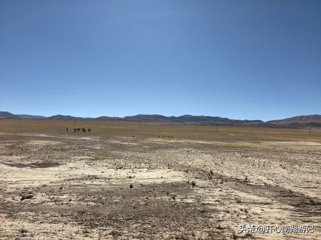 喀什经317到成都，改则-尼玛，途径大地之树、洞措湿地自然保护区