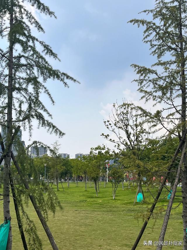 南昌凤凰洲体育休闲公园，散步好去处！