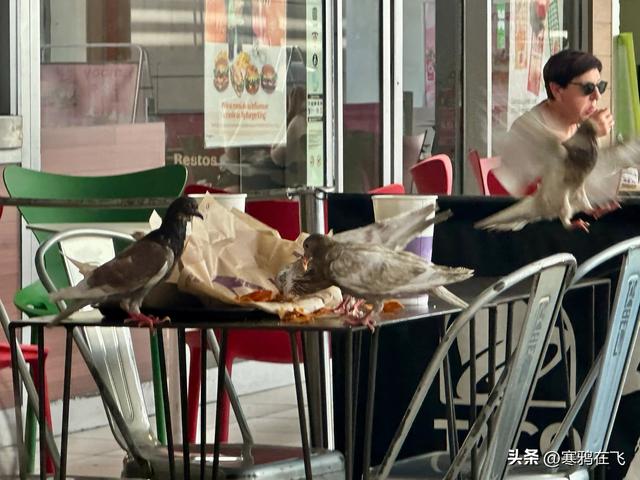 西葡游（六）托萨小曲与瓦伦西亚海鲜饭
