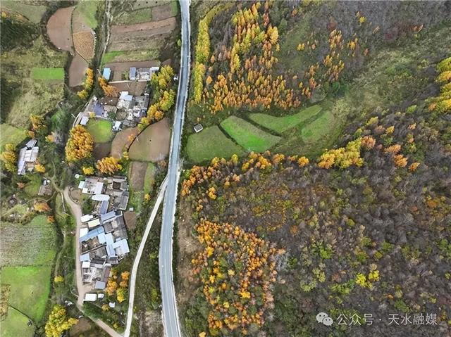 【联动宣传】这里，藏着天水最美的秋