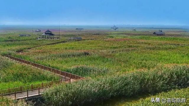 苇海接天，碧水连宵：郁洋淀原始湿地行记