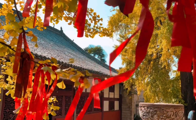 成都绝佳赏银杏景点，拥有两棵千年“夫妻树”银杏树，却少有人知