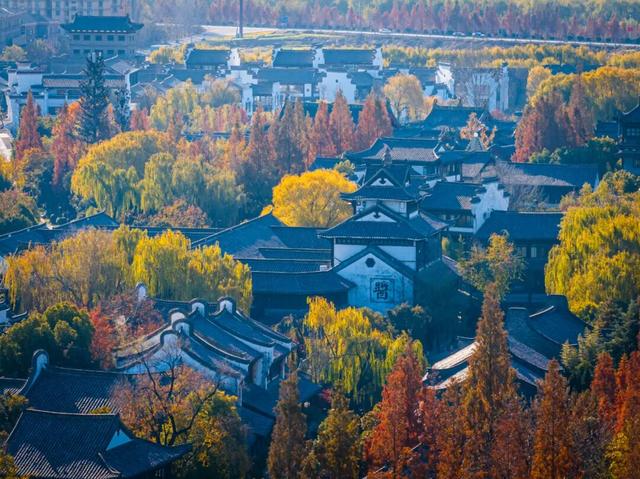 抓住秋天的尾巴 | 台儿庄古城秋色打卡指南，附私藏机位！