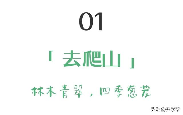 来成都务必要留一天时间给都江堰!