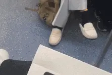 小姨子天天在我眼前晃，老婆真是信任我的人品呀！哈哈图片