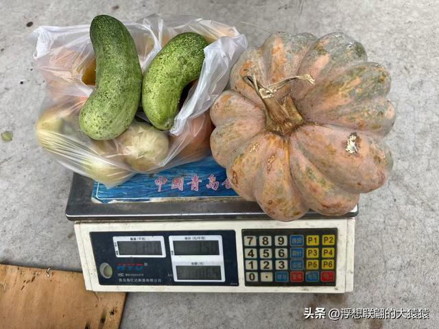 在邹平上回村可以攀爬摩诃峰，但俺没爬，俺买了农家菜打了山泉水