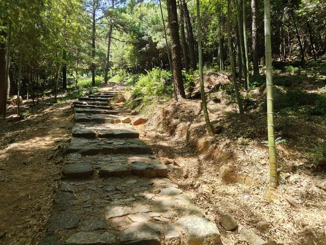 暑期登山？这座山岭连名字都生僻，竹林清风治愈心灵！
