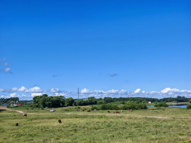 坐15路公交从伊春去友好区
