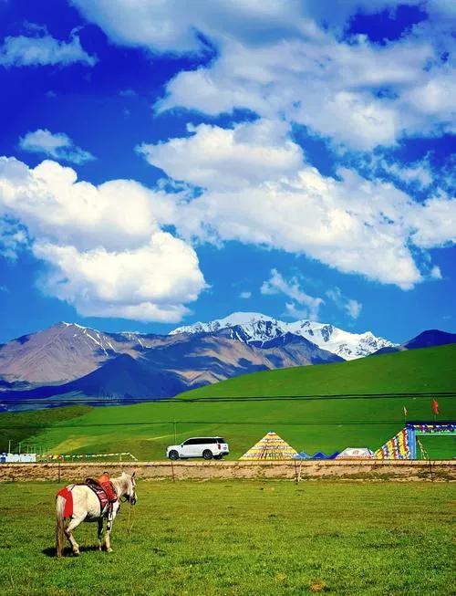 让我念念不忘的祁连秘境:雪山、草原、森林,西北私藏的治愈天堂