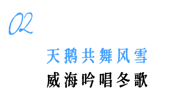 等了一年！烟威最浪漫的时刻，终于来了！