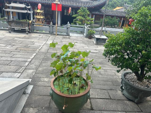 长乐沙京龙泉禅寺
