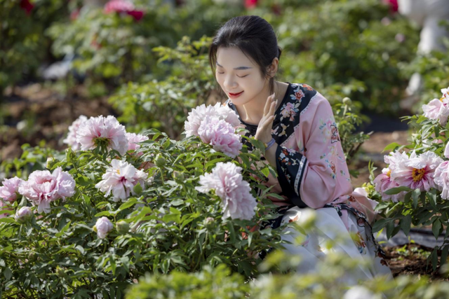 玩转安陆，“码”上开启！