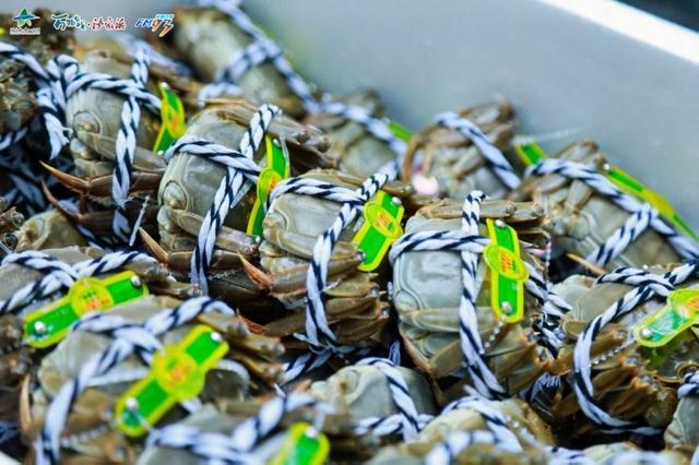 如期而至！这场与老“螃”友的约会，已然成为邂逅秋天的仪式感……