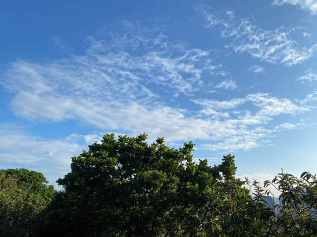 麒麟山真理公园1：这里的美景惊艳整个黄埔，你来过这里吗？