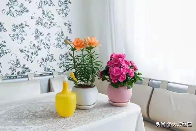 生肖猪的晚年	，尤其是猪女，老一辈的话真的不会错！