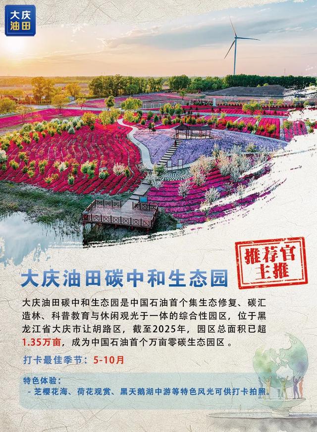 带你解锁这座油城的夏日宝藏打卡地！