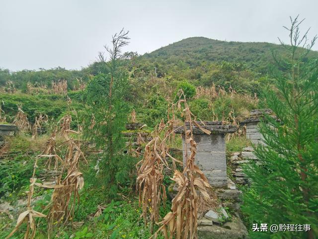 寻找一片僧人墓地，佛门高僧竟然最后落得尸骸无存