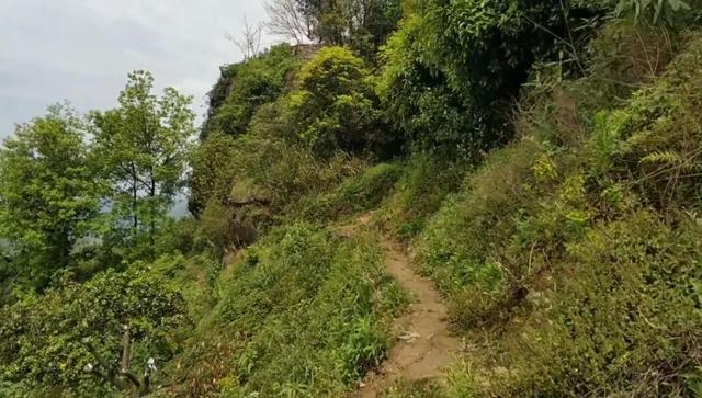 重庆九龙坡有一座明朝大寨，拥有18道城门，相传张献忠在此称帝