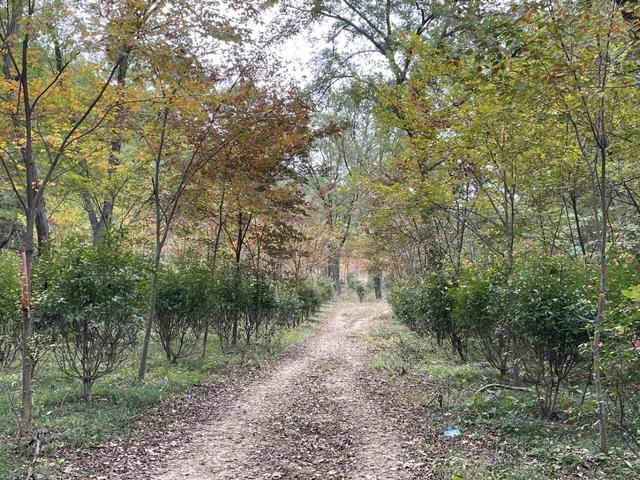 骑游探访滁州小蓝湖“蓝眼睛”白米山矿坑