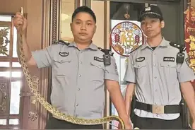 男子开车时，挡风玻璃突然天降可怕大蛇，带有花纹且还在不断蠕动图片