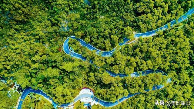 深圳新手必刷！5公里山海徒步，地铁直达→