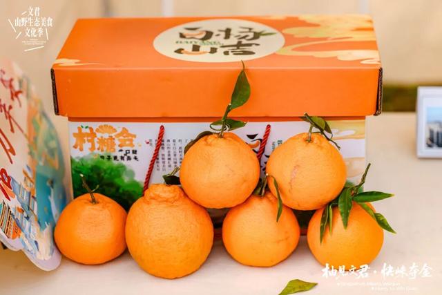 3000余组家庭赴约！文君山野美食文化季燃动暖冬