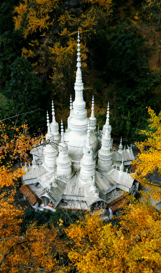 黄了红了！成都1.5h直达大邑白岩寺，徒步赏叶登顶攻略看这里~