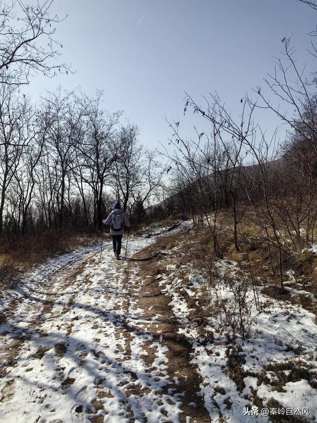 雪后初霁登顶嵯峨山，走荒野雪原，看千年悟空塔，感受历史的烟云