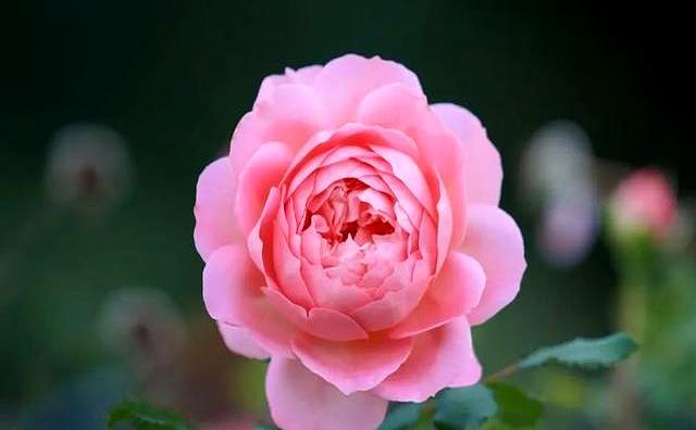 让一个男人爱上你以后离不开	，不是你的长相，而是以下几种感觉