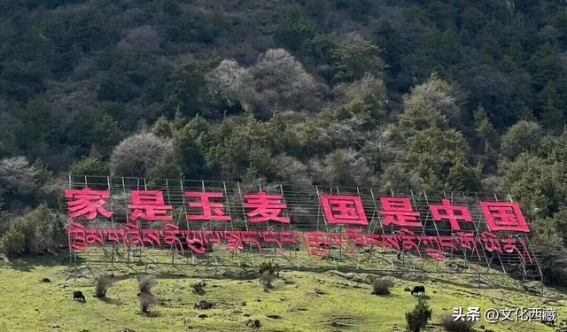 一文掌握西藏旅行！全景资源地图出炉，玩出新高度！