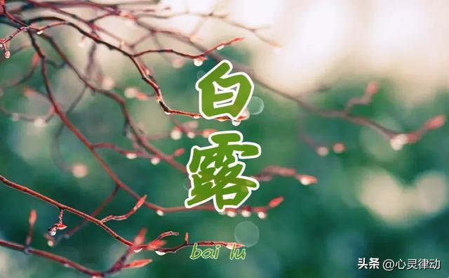 “早白露，冷到哭；晚白露，蒸桑拿”，今日白露，今年白露在哪？