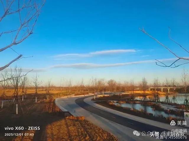 初冬北京朝阳坝河金盏淀:清寒里的静美画卷|申艳娟