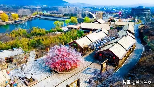 好客山东好品山东｜赶兰陵千年大集，赴一场烟火与诗意的约会