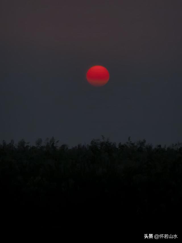 2025辽宁赏秋之旅日记(6)——到辽河口中国最北海岸线看日出 观鸟